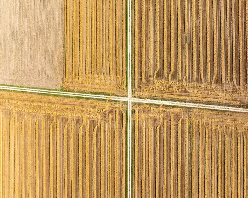 2024年郑州秀璐电子科技变压器与稳压器产品系列升级详解